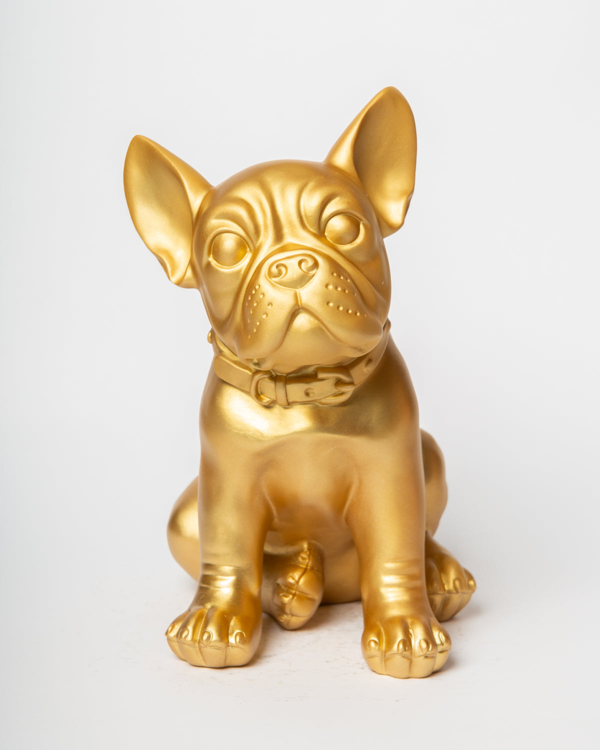 Ruggiero Bulldog oro Blogo Design