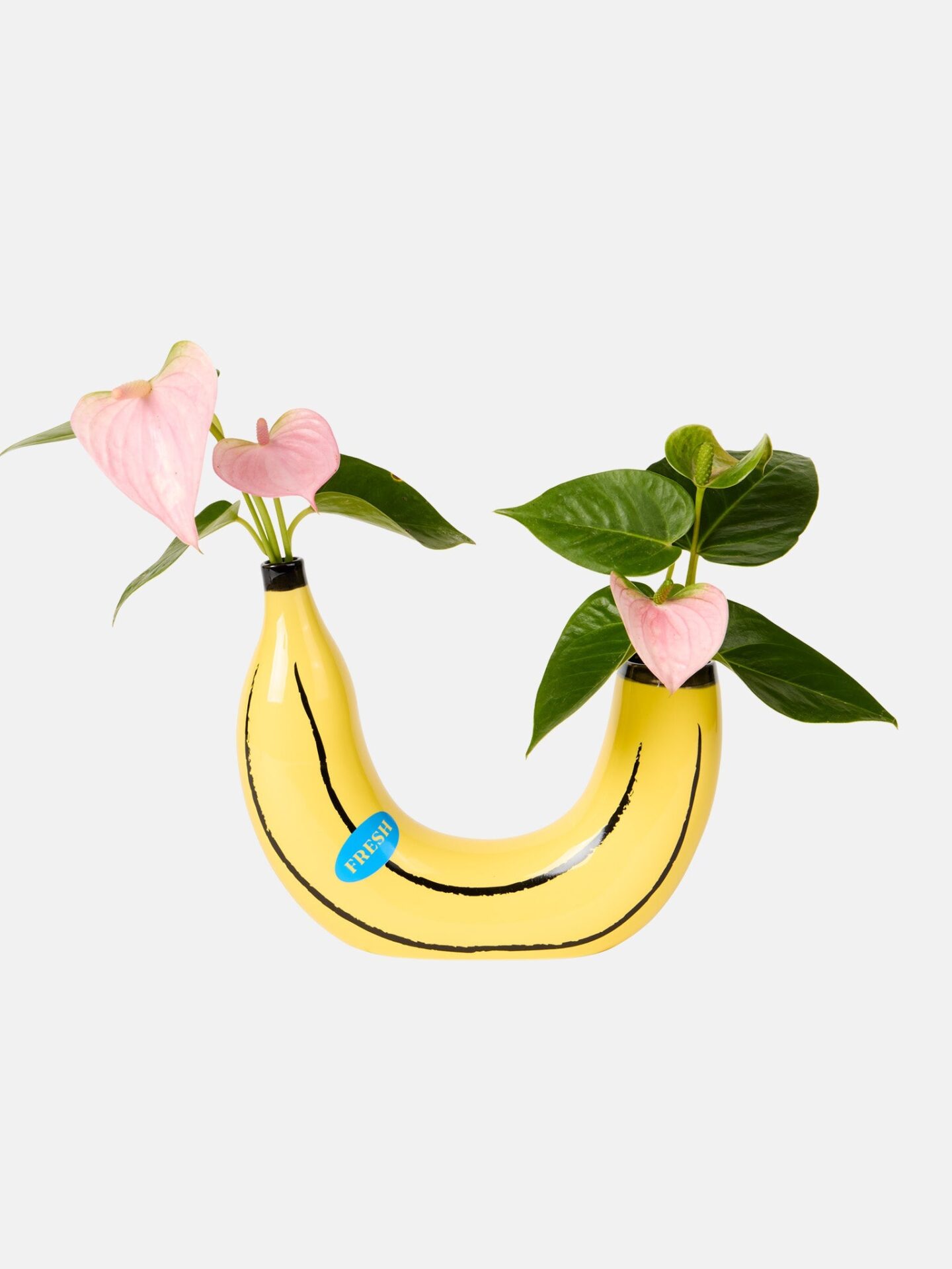 Vaso di Banana - immagine 3