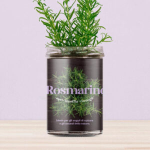 Rosmarino – Orto da Cucina | Resetea